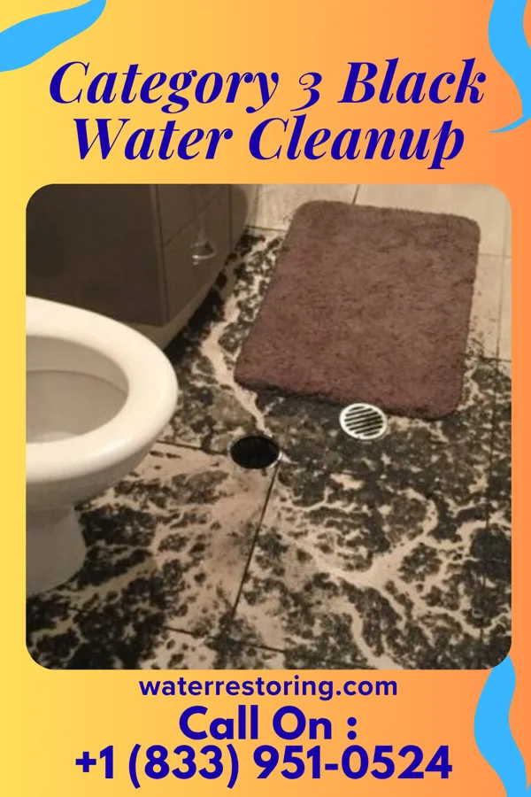 Category 3 Black Water Cleanup in Miller's Cove, TX