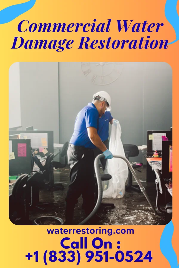 Commercial Water Damage Restoration in Miller's Cove, TX