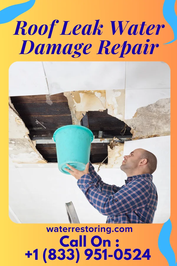 Roof Leak Water Damage Repair in Miller's Cove, TX